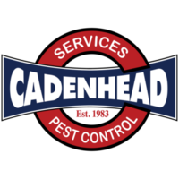 Cadenhead Services, Inc.