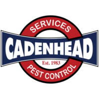Cadenhead Services, Inc.