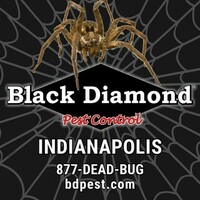Black Diamond of Indy, Inc. 