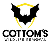 Cottoms Wildlife Removal 