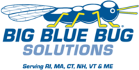 Big Blue Bug Solutions