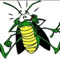 Ozone Pest Control llc